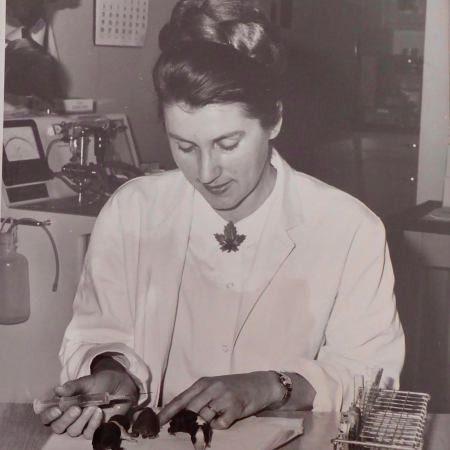 Women in a lab wearing a white lab coat working with mice.